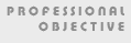 Professional Objectives